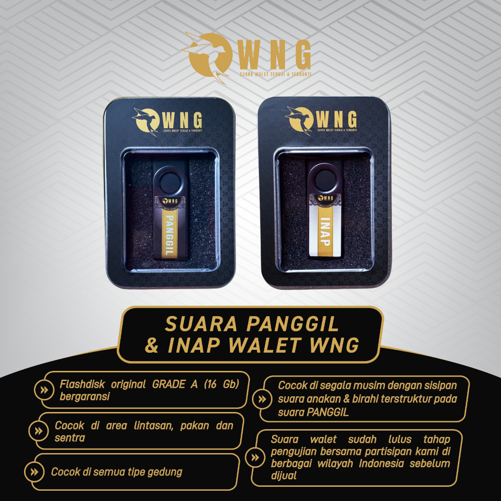 Suara Walet Panggil dan Inap Original WNG / Suara burung Walet / Suara Panggil dan Inap Walet Mp3 / 