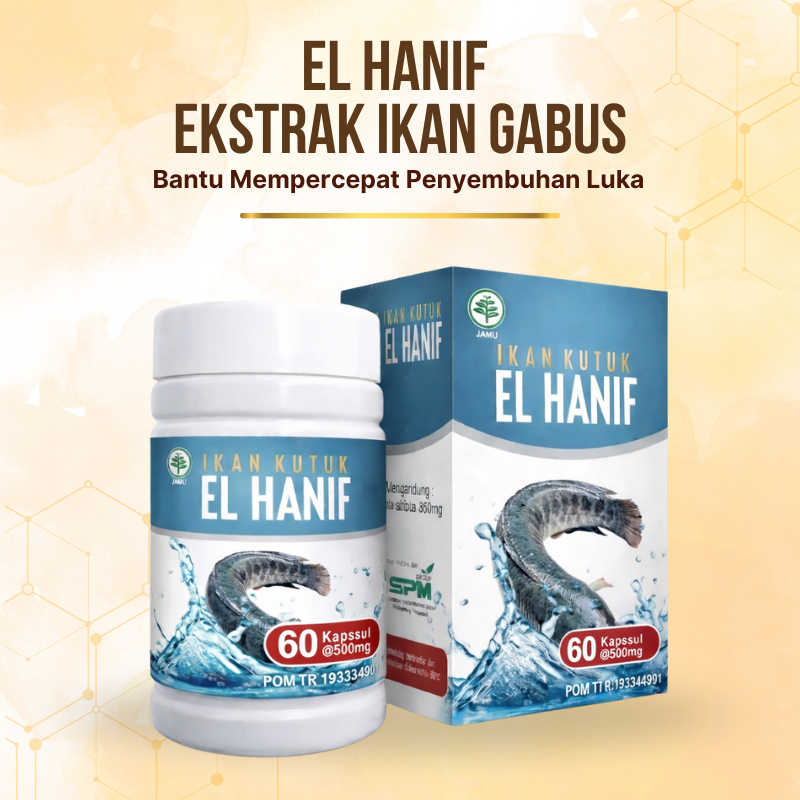 Ekstrak Ikan Gabus Kutuk EL Hanif 60 Kapsul 500mg BPOM Bantu Penyembuhan Luka