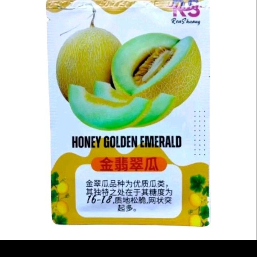 Biji benih melon golden inthanon kemasan premium