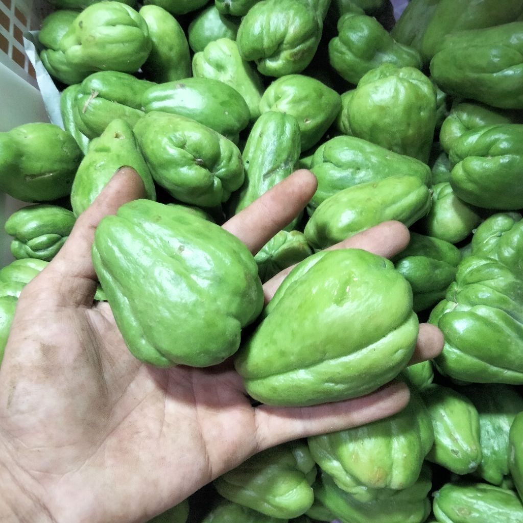 labu Siam terunik/labu Siam kecil berat 1kg