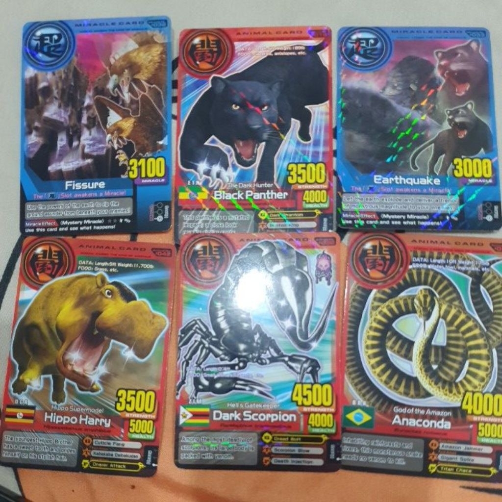 Animal Kaisar  Plus - Kartu Timezone animal kaisar