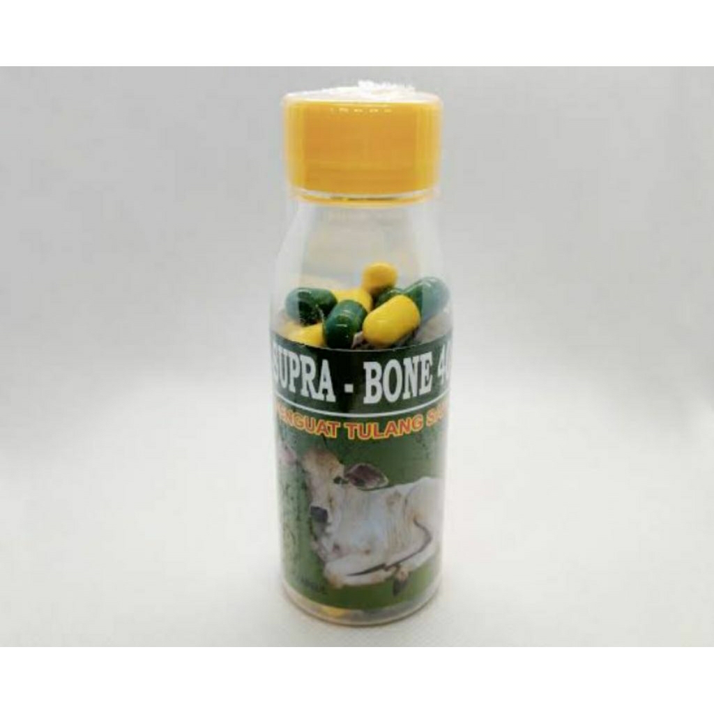 Supra Bone obat sapi kambing lumpuh pincang ndeprok penguat tulang otot