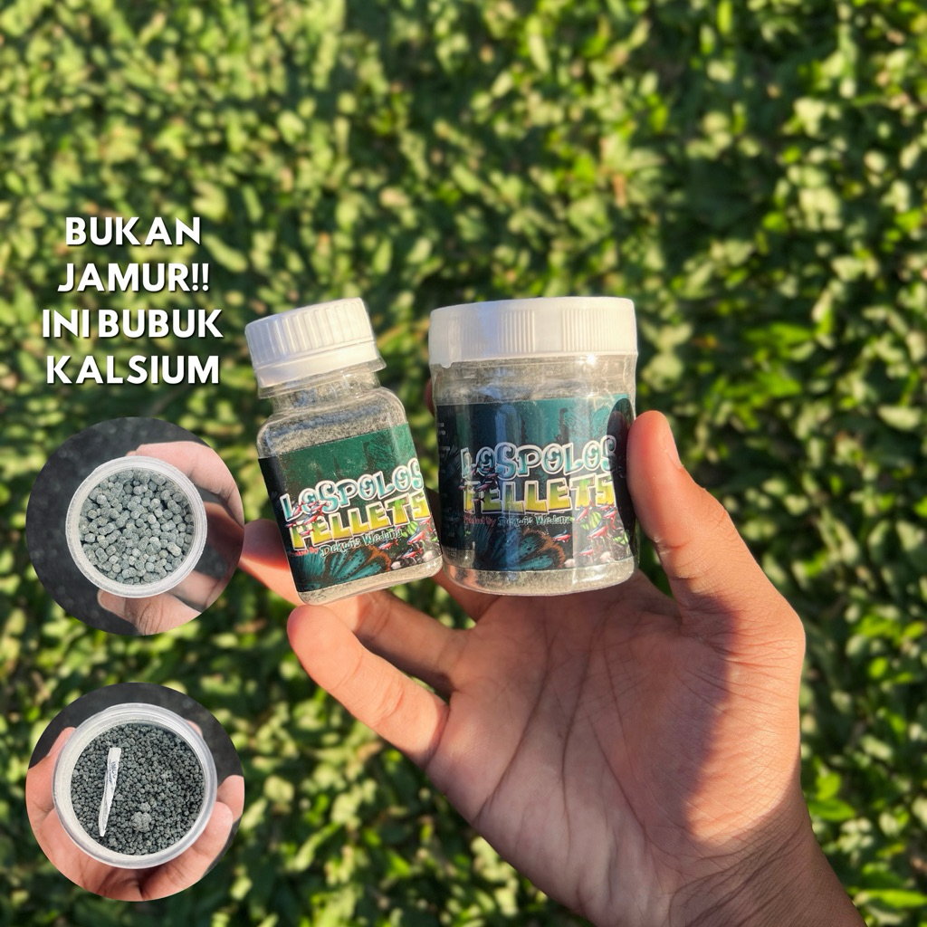 LOSPOLOS PELET by Dekwis Wedana PAKAN AURANTI PELET DORPOL DORSAL POLOS for All Dwarf Channa PAKAN C