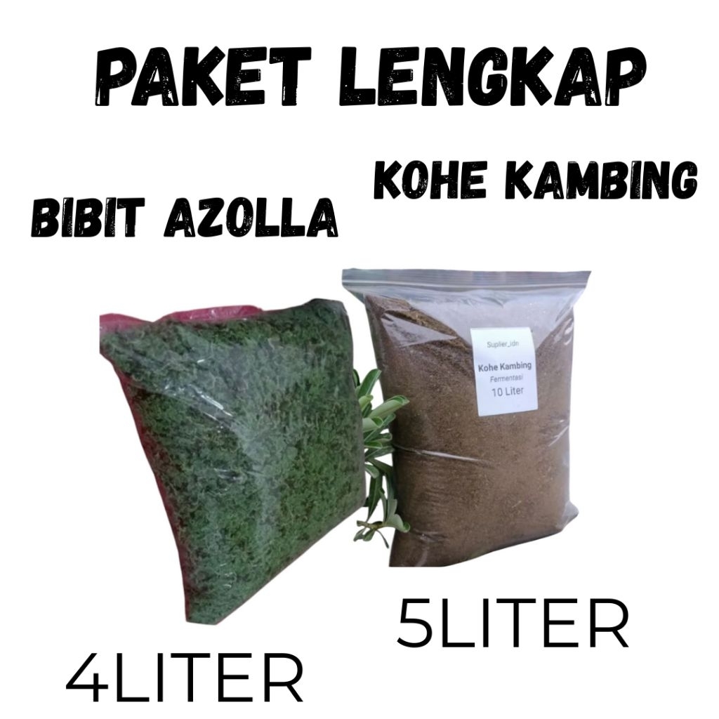 Paket Lengkap Bibit Azolla Dan Pupuk Azolla Siap Pakai