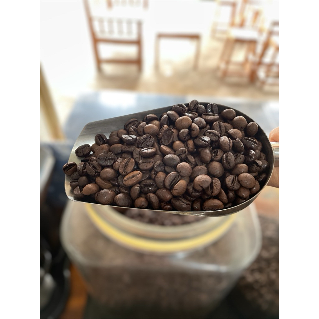 Robusta Fermentasi Wine