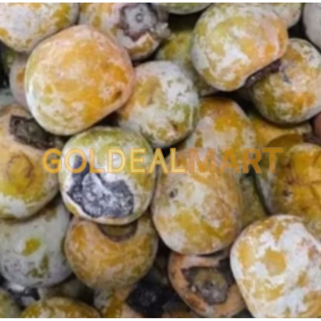 Buah genit kesemek kesemak lokal Brastagi Berastagi Tanah Karo persimmon 1kg