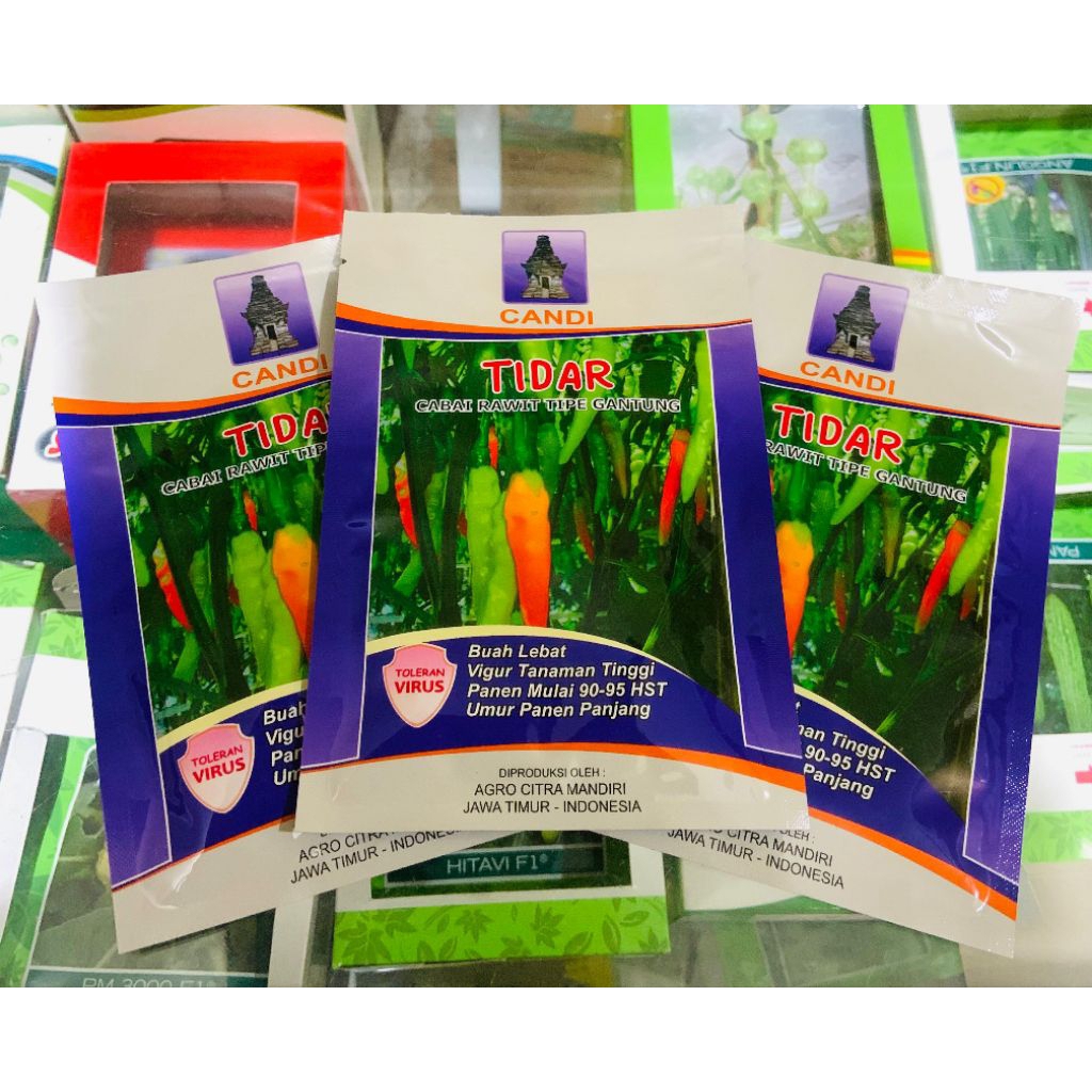 CABE RAWIT TIDAR || BENIH CABE RAWIT TIPE GANTUNG (10gr)