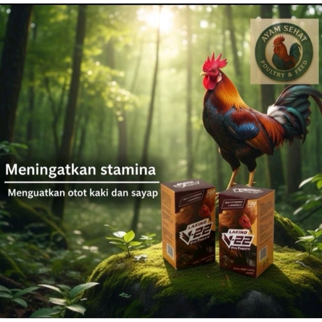 V22 Tablet Laking , vitamin ayam original philipina