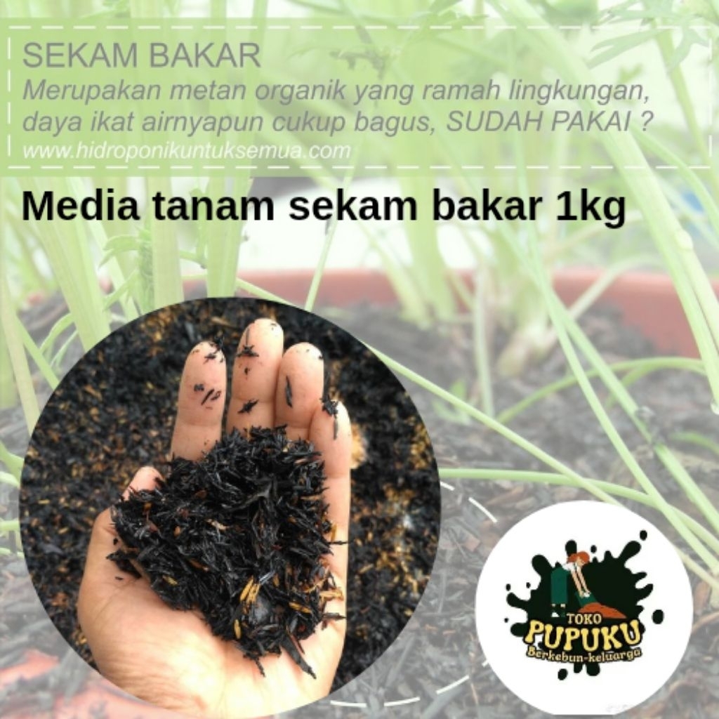Media tanam sekam bakar siap pakai | Sekam bakar 500gram | sekam bakar