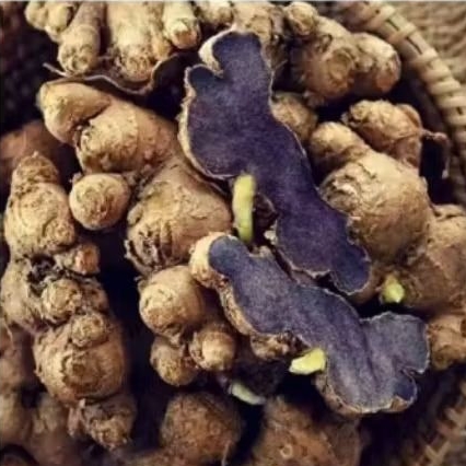 Rimpang kunyit hitam