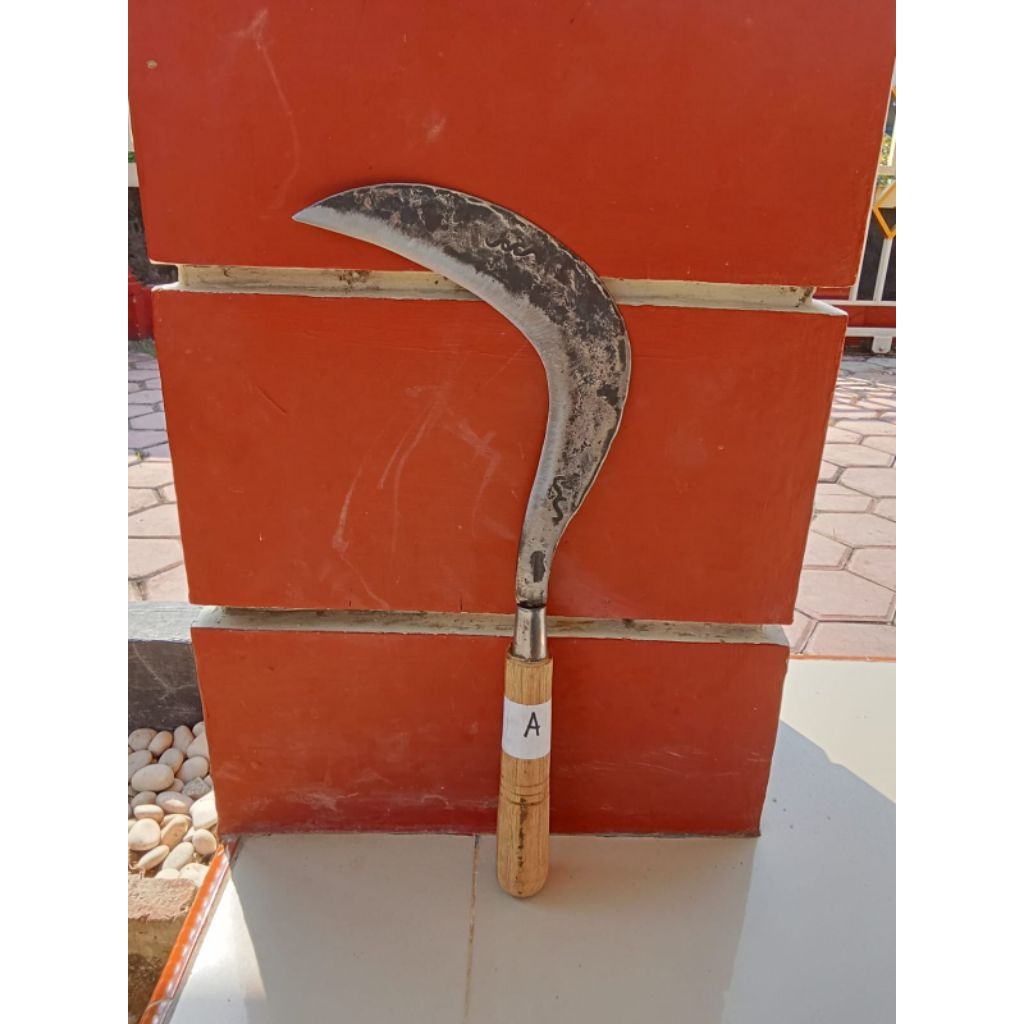 arit/sabit rumput,ranting,padi baja per asli