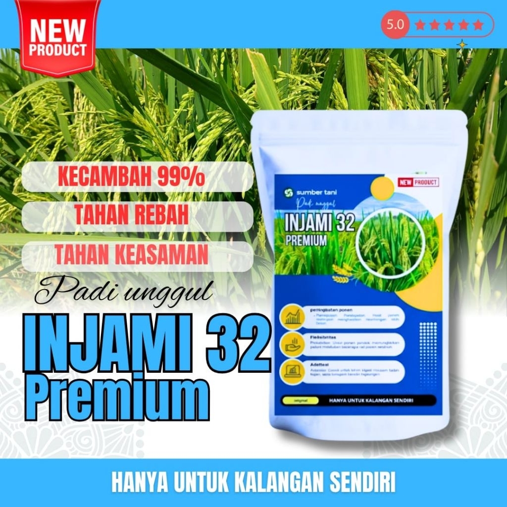Benih padi unggul Injami 32 original ( BIBIT PADI INJAMI 32 )