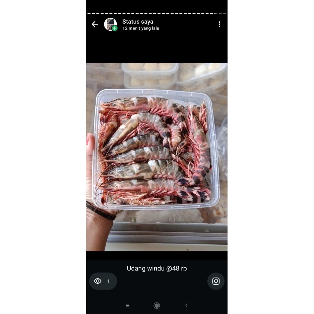 Udang Windu 1kg