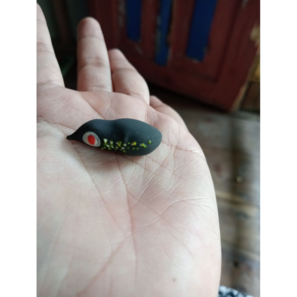 kulit soft frog/cangkang ukuran 3,5 cm