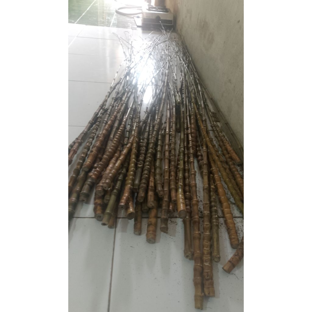 bahan joran bambu cendani (krisik)