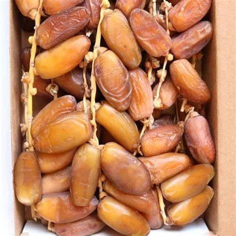 Buah Kurma Tunisia Tangkai/ Palm Fruit