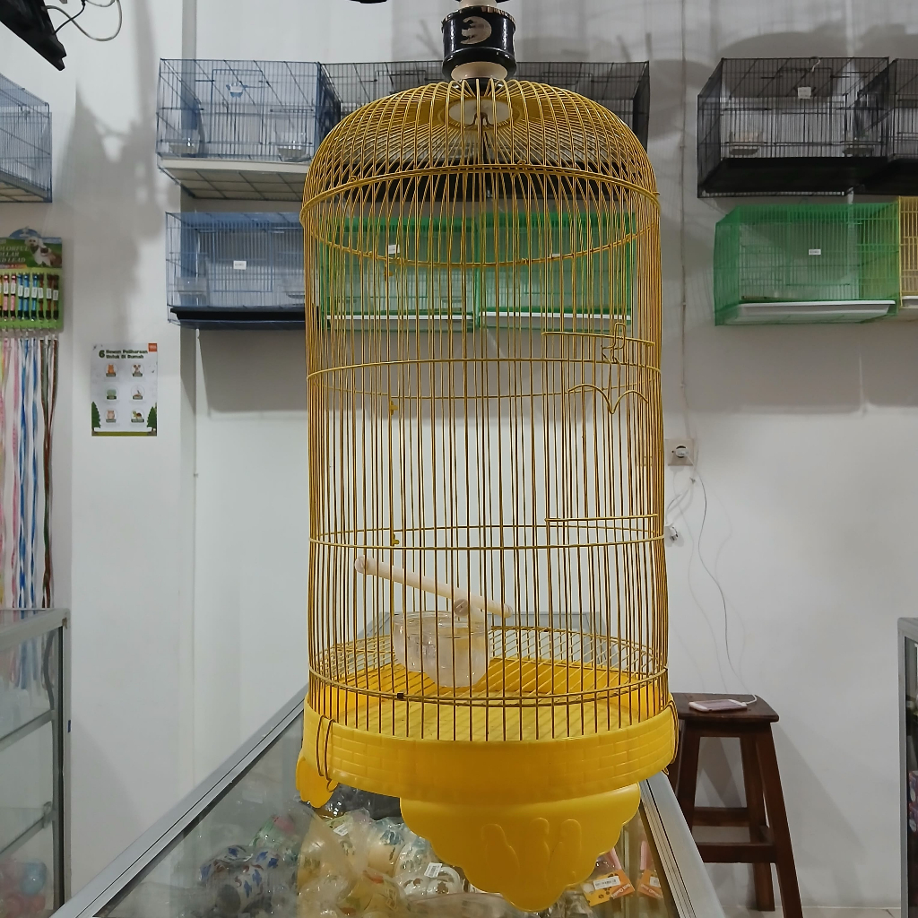 0614-KUNING OCTAGON SANGKAR BESI LOVEBIRD