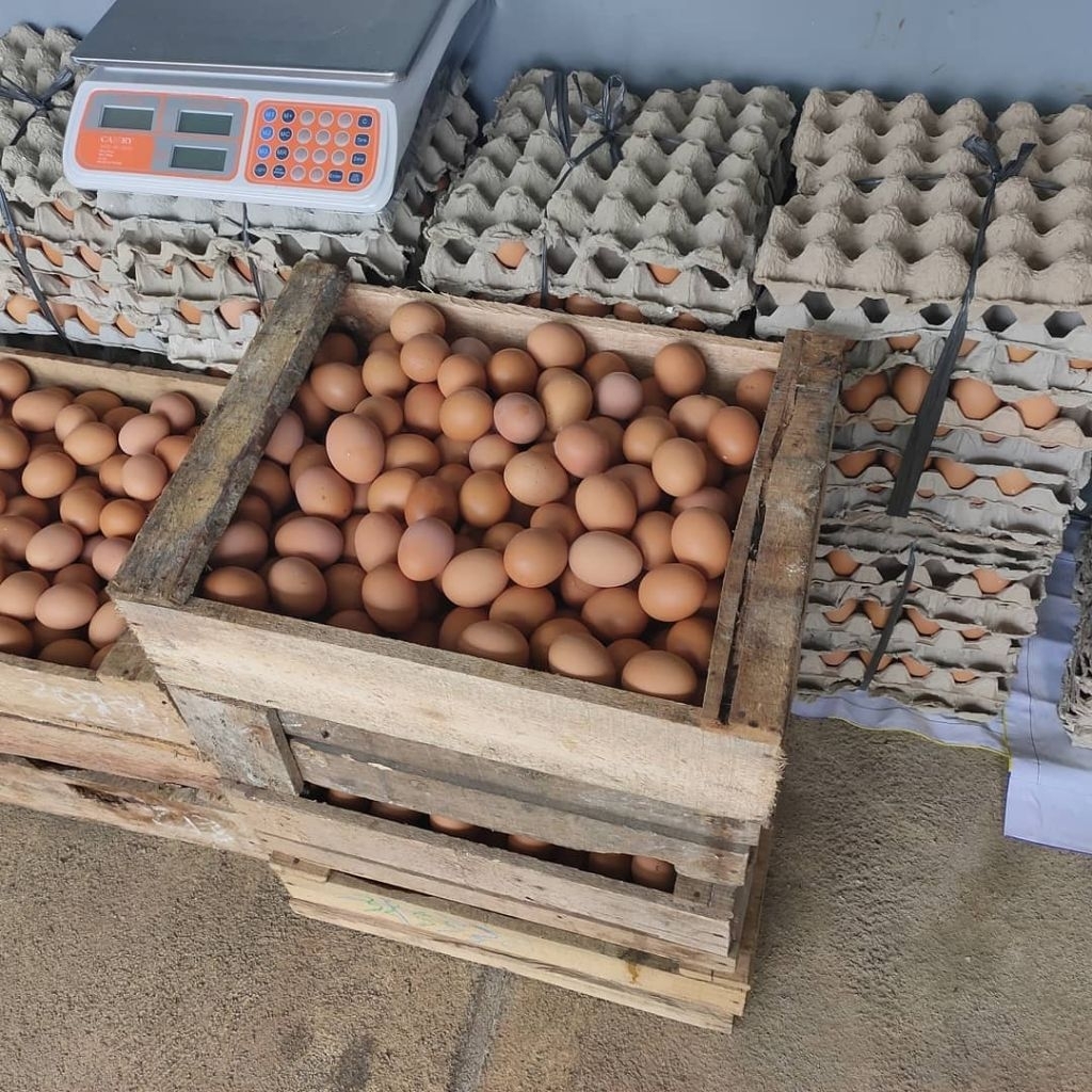 TELUR AYAM NEGERI SUPER PREMIUM | TELUR AYAM | TELUR AYAM NEGERI FRESH
