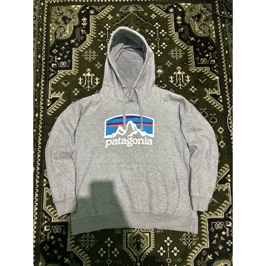 Hoodie Patagonia Second