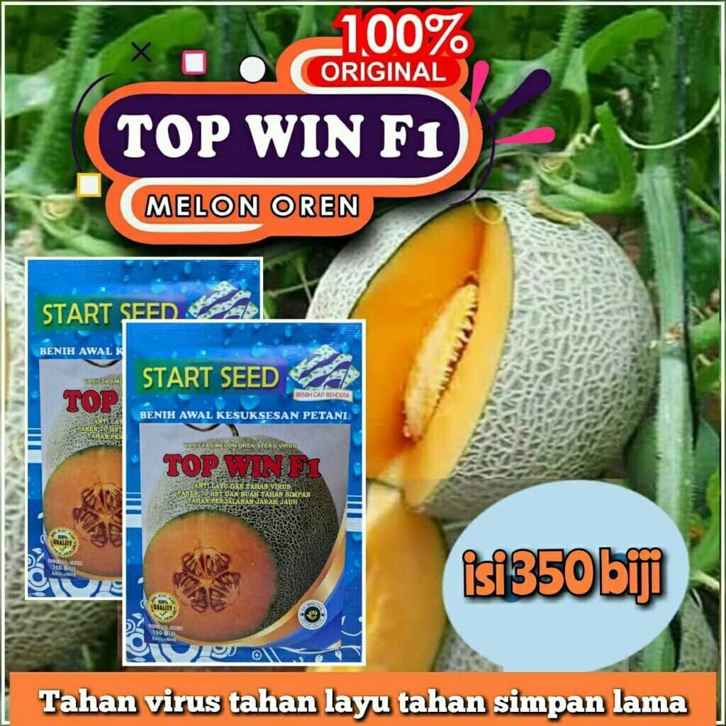 Top Win Bibit Melon Madu Super Manis MANDALA F1 Benih Melon Premium Benih Melon Madu  isi 1000 biji 