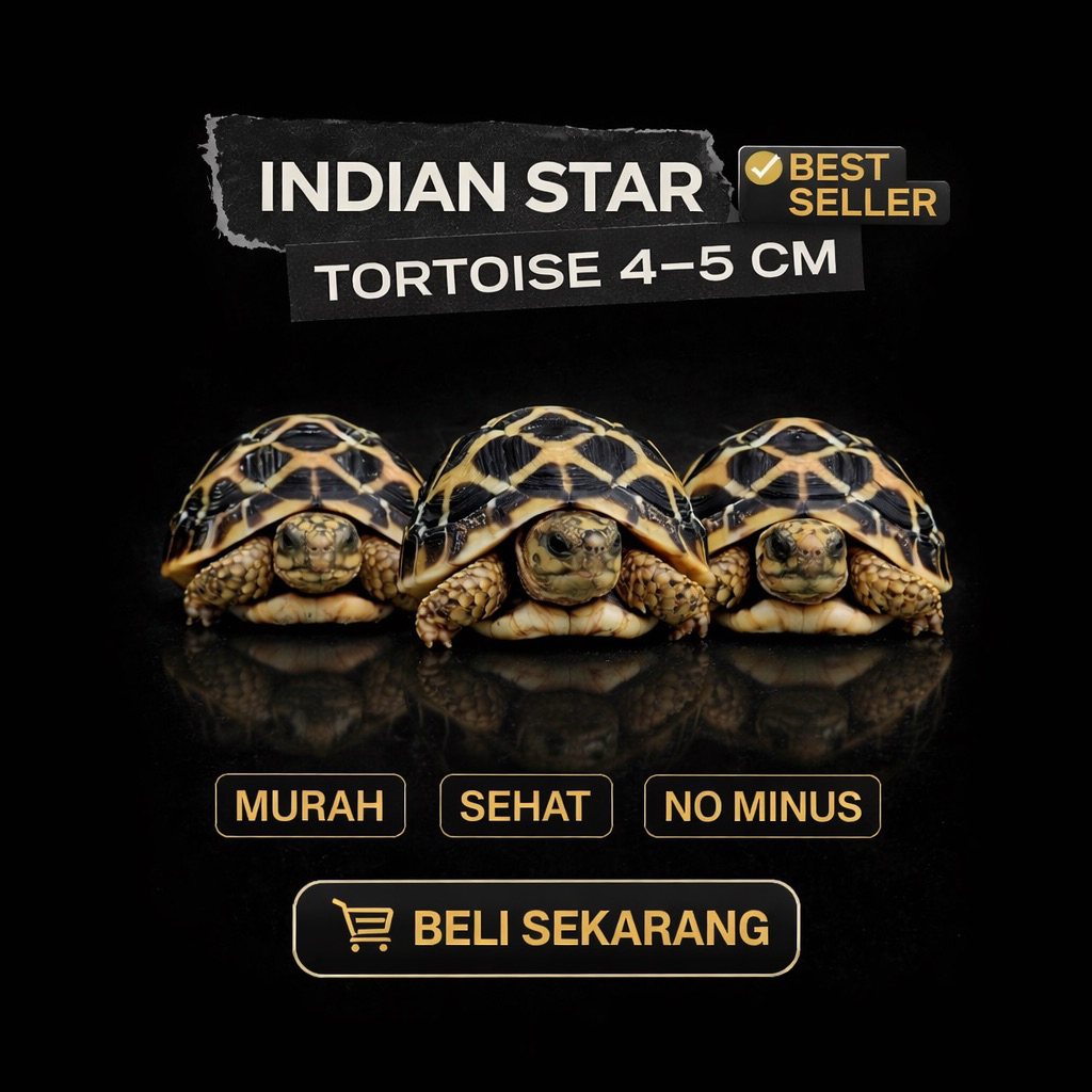 indian star | istar | kura kura istar | pelet kura istar