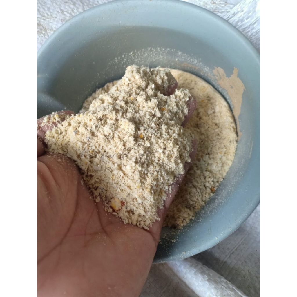 Dedak jagung/jagung empok