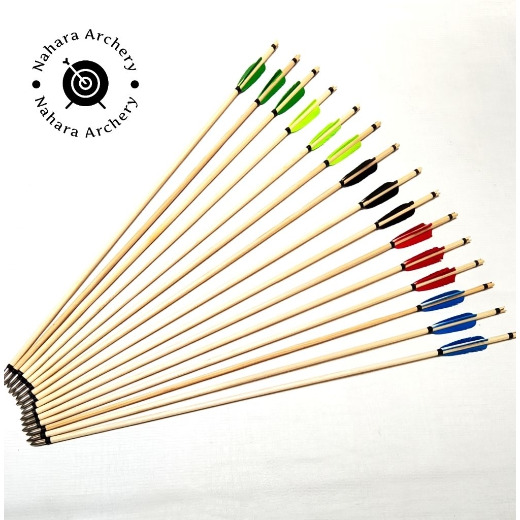 Arrow  dewasa Speruce Vanes Kalkun Import / 6 pcs