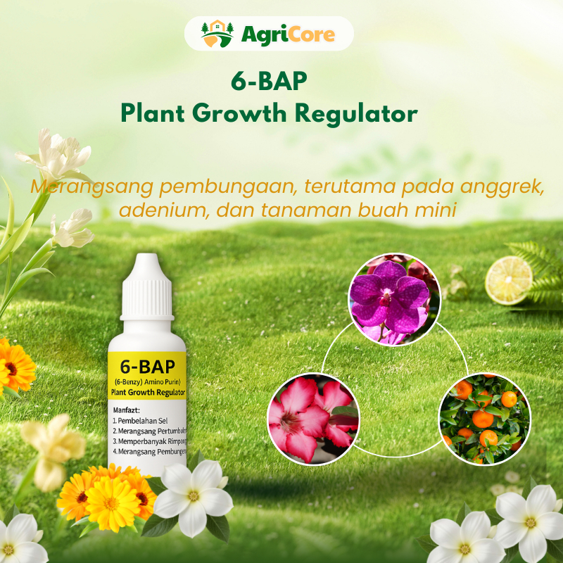 Hormon Pembungaan Anggrek 6-BAP 30ml – ZPT Perangsang Bunga & Tunas Anggrek