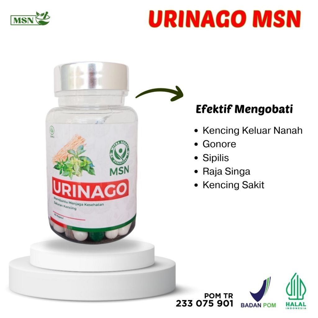 Urinago obat sipilis kencing nanah 60 kapsul
