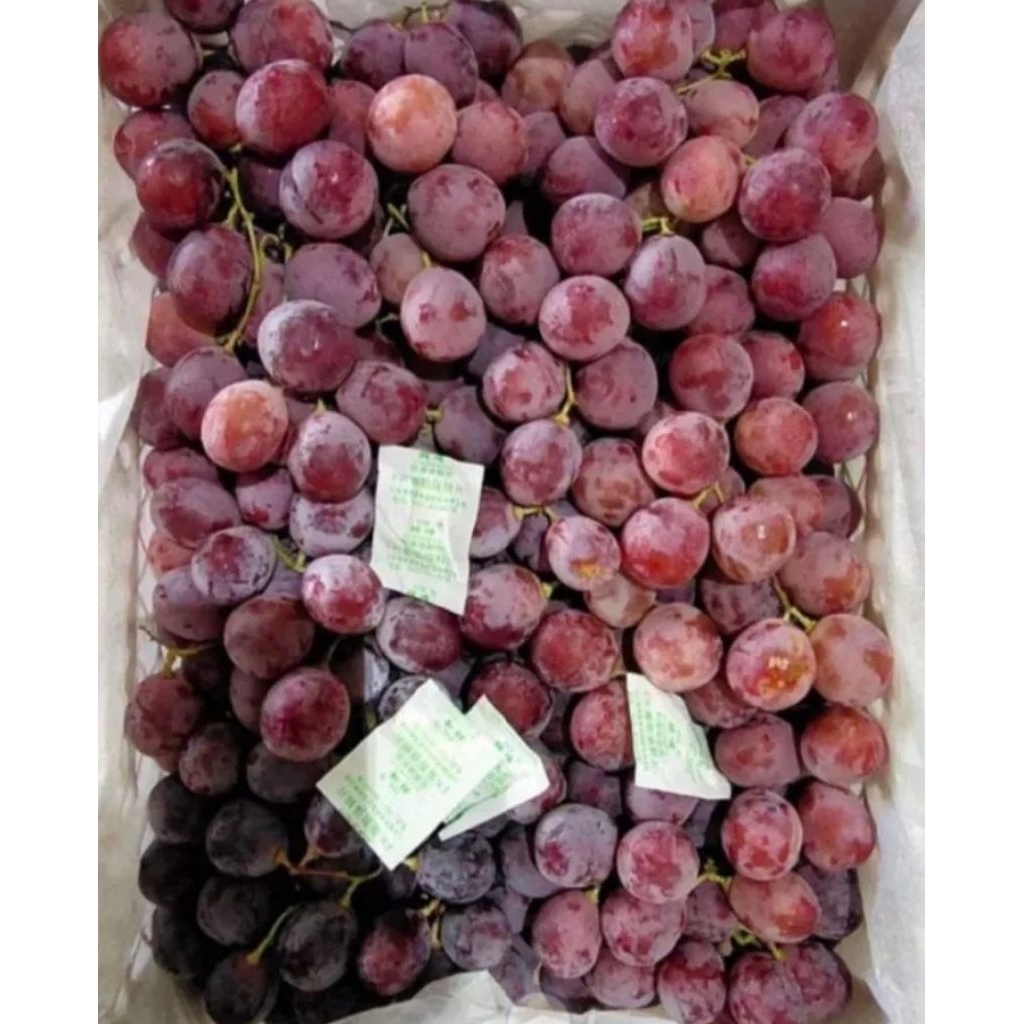 Anggur red Globe 1 keranjang