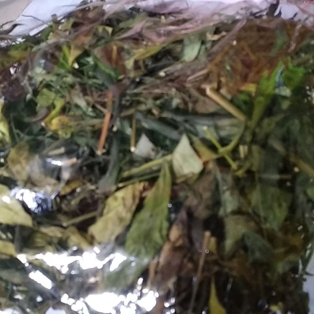 Jamu sambiloto kumis kucing goji beling benalu teh tempuyung