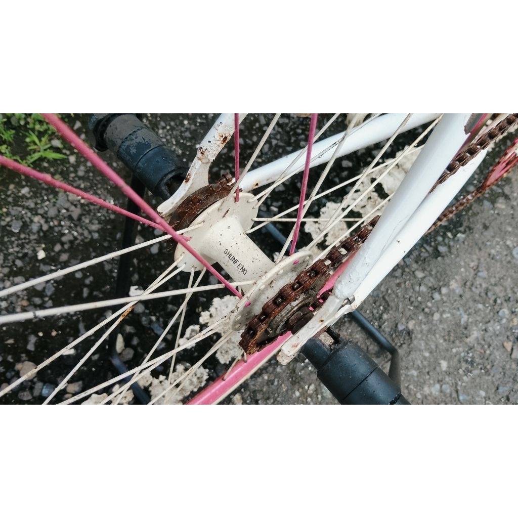 fullbike united soloist 02