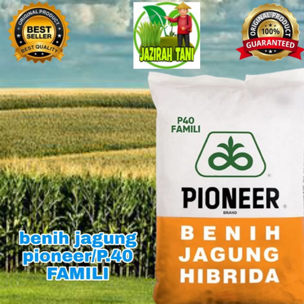 BENIH JAGUNG PIONEER/P40 FAMILI ,HIBRIDA UNGGULAN