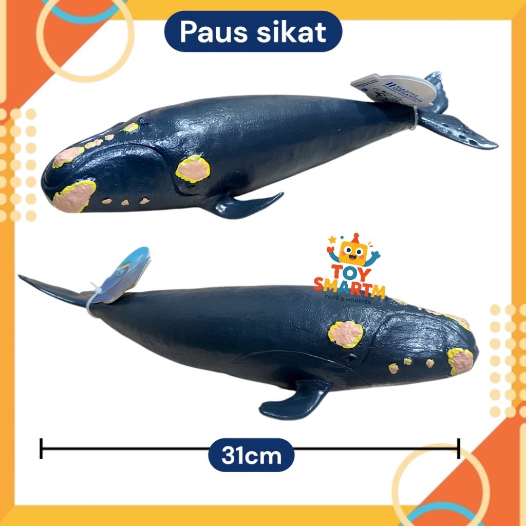 Mainan Paus Sikat Atlantik Utara Paus Karet Hewan Laut Mainan Anak Hiu