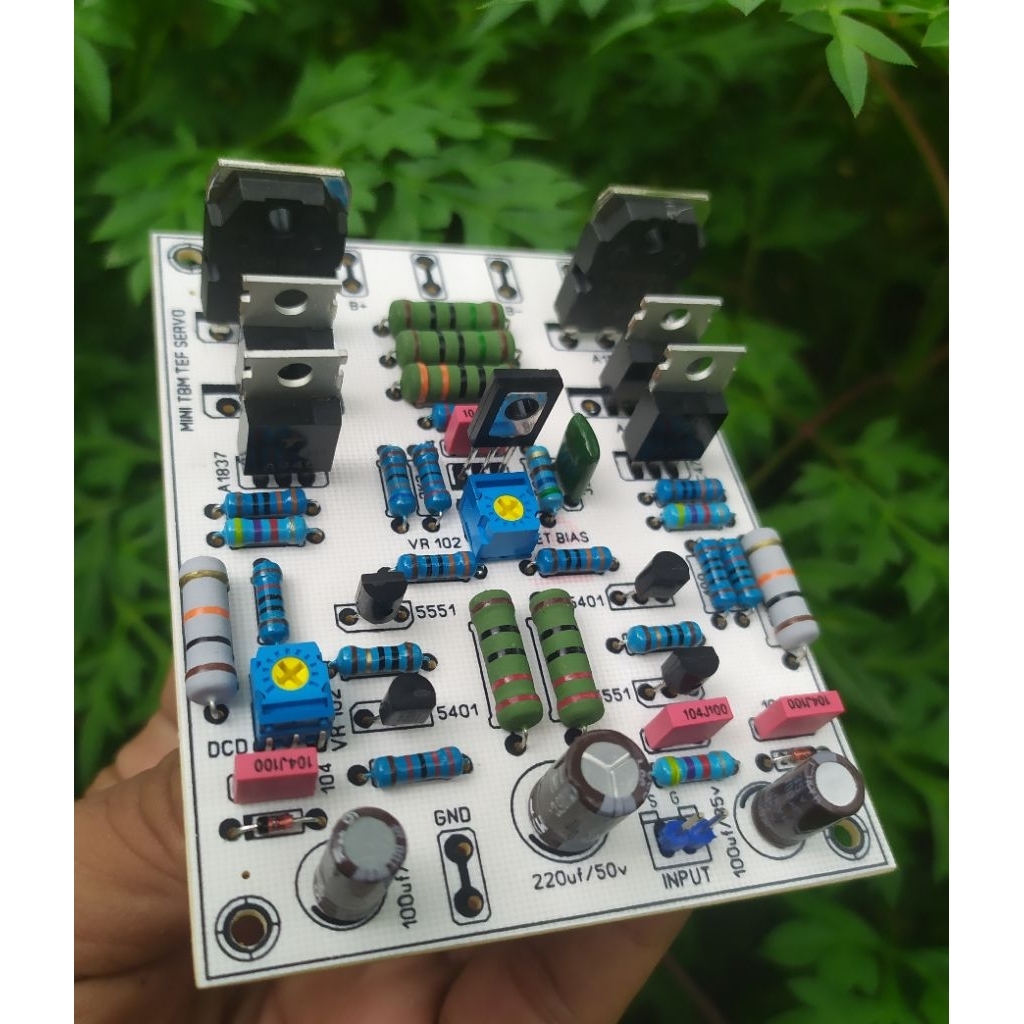 Driver TBM TEF Bias Servo