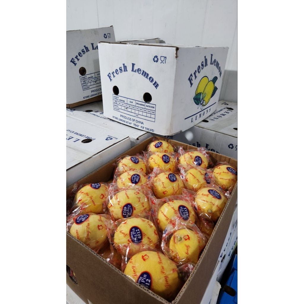 lemon China per kg