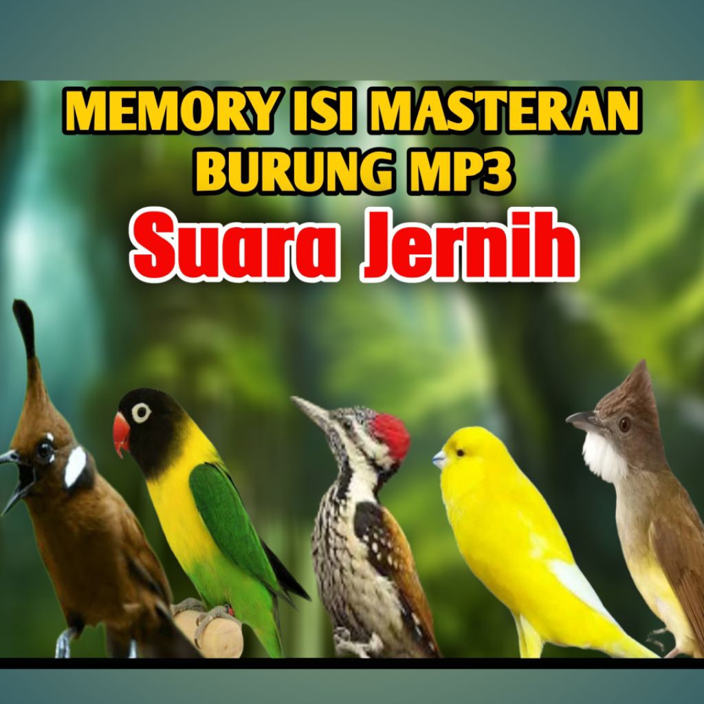 memory masteran burung mp3 siap pakai suara jernih