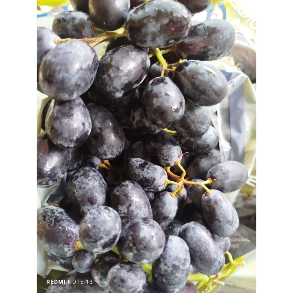 Anggur Black autumn Africa seedless 1 kg| Anggur Hitam Premium