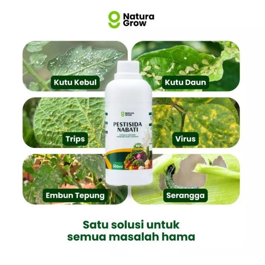PESTISIDA NABATI PEMBASMI HAMA ORGANIK / Pestisida nabati 3in1