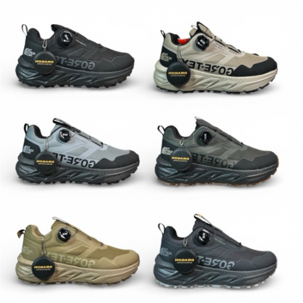 Sepatu Pria TNF Ultra Fastpack Boa Goretex