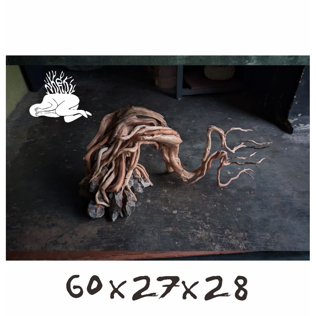 hardscape aquascape 60cm