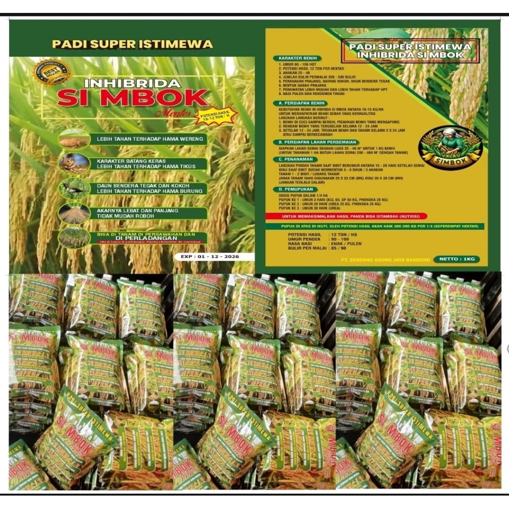 PAKET 10KG BENIH PADI SIMBOK IN-HIBRIDA BENIH PADI SUPER ISTIMEWA BERKWALITAS