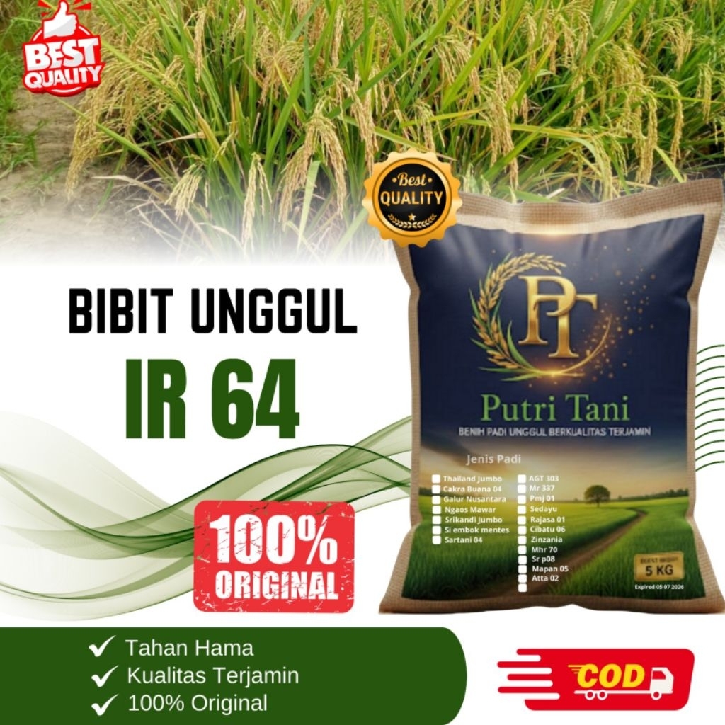 BIBIT PADI IR 64 KEMASAN 5KG