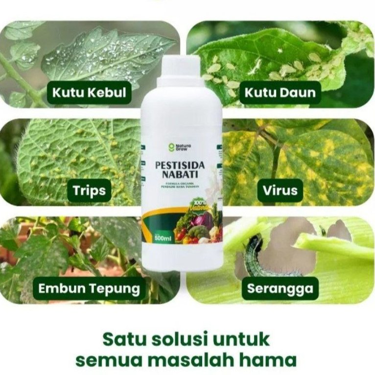 PESTISIDA NABATI PEMBASMI HAMA ORGANIK / Pestisida nabati 3in1 BHM