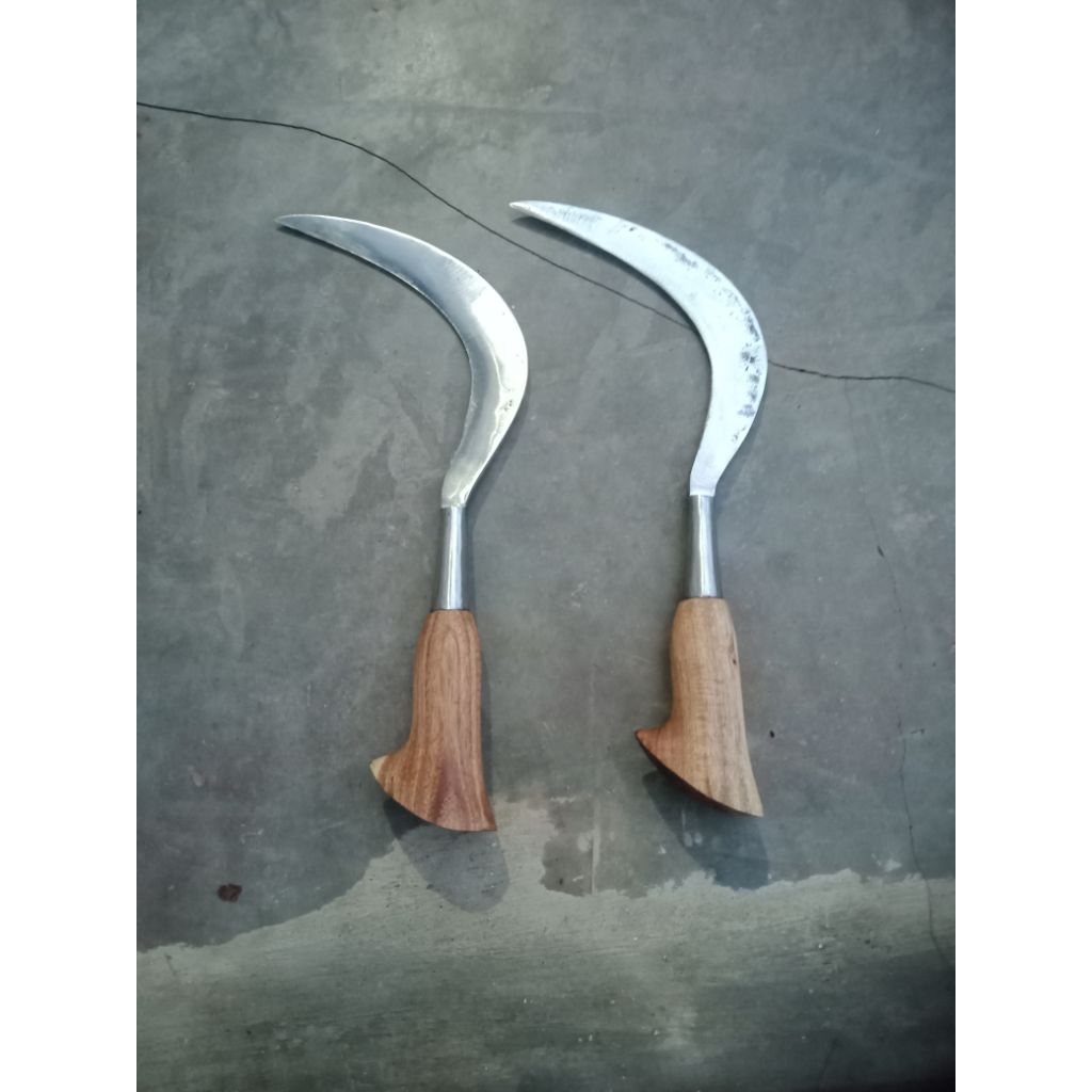 Arit tanduk super tajam