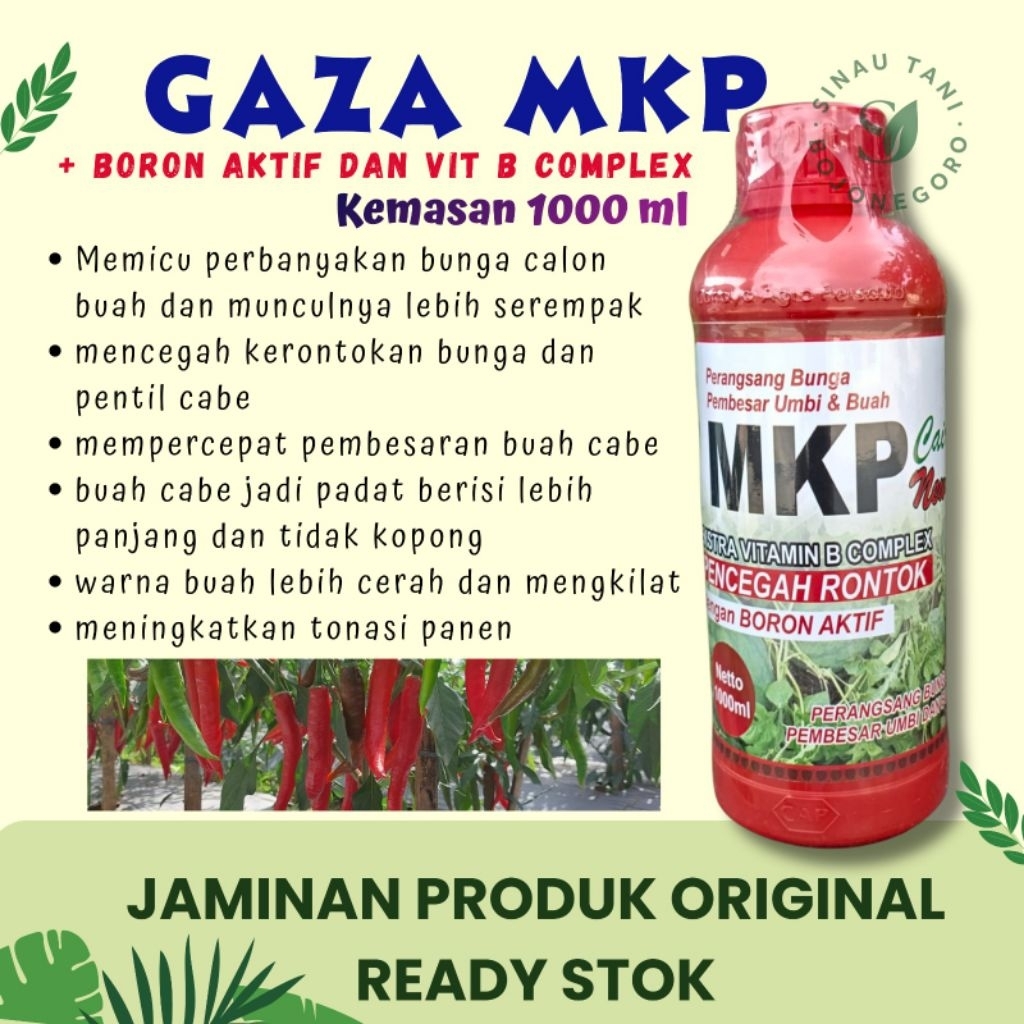 Pupuk Cabe GAZA MKP 1 Liter + ZPT + Boron aktif + Vit B Komplek jadikan Buah Cabe lebih banyak Panja