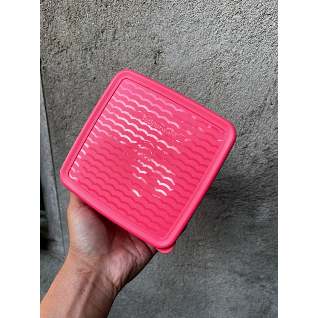 wadah buah/sayur kulkas tupperware