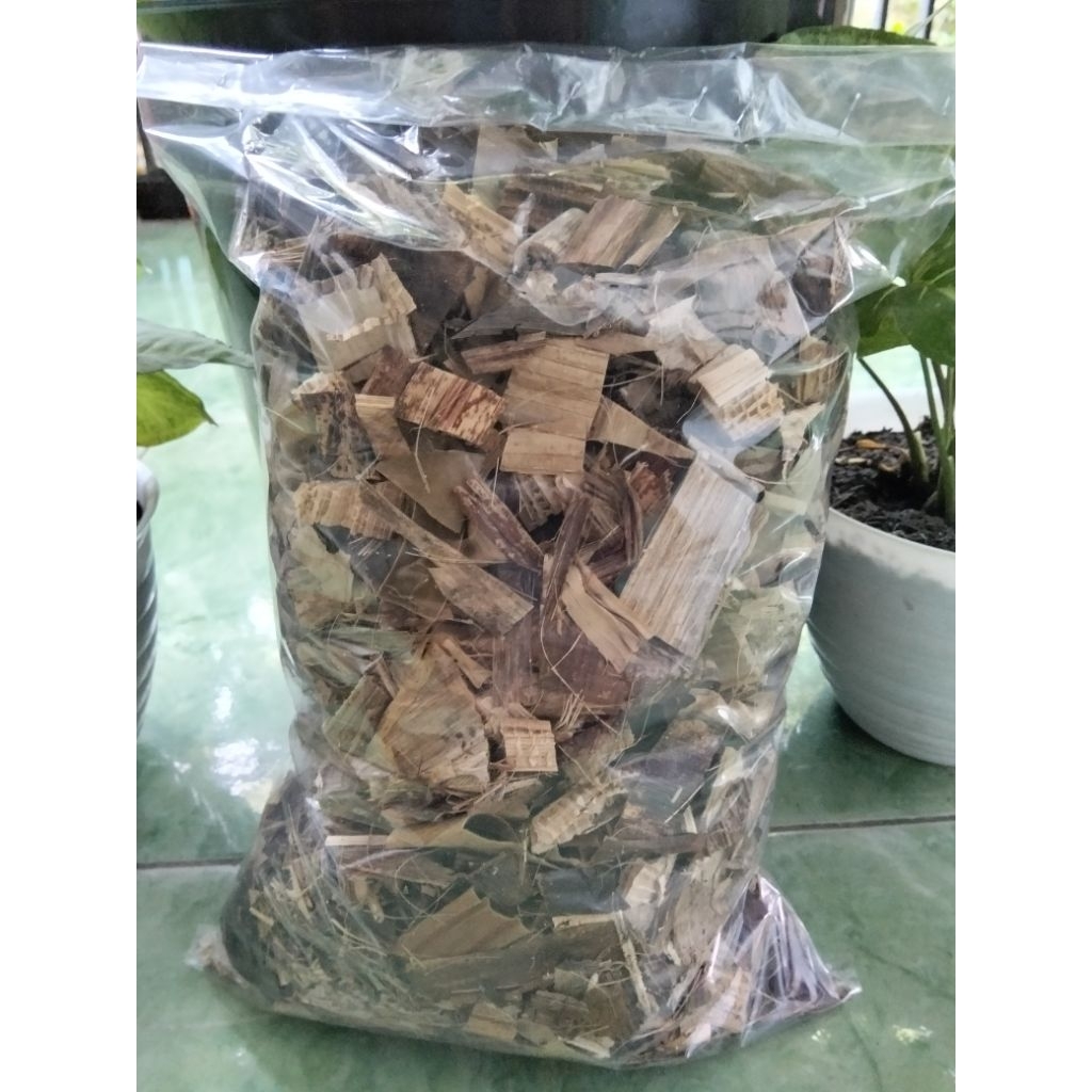 Daun pisang kering