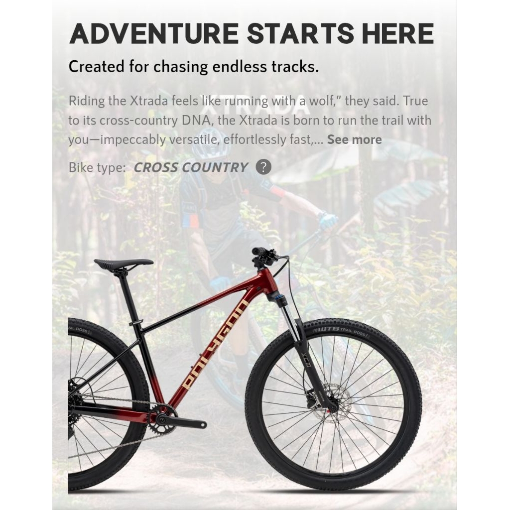 Sepeda Polygon New Xtrada 5 sz M 27.5 / Sz L 29