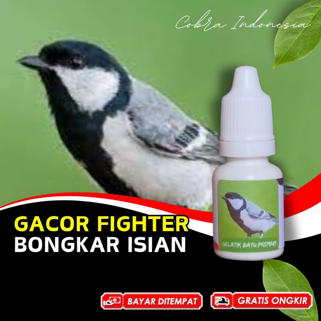 Vitamin Burung Gelatik Batu Gacor